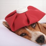 Suffering from “post-tax blues” this year?